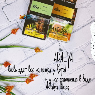 Adalya вновь на полках у Кота + Adalya Black