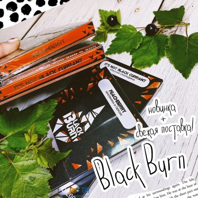 Новые вкусы Black Burn!