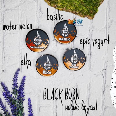 4 новых вкуса Black Burn!