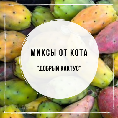 Миксы для кальяна - Добрый кактус (Spectrum Agava Cactus, DarkSide Pear, Woodu Peach, DarkSide Supernova)