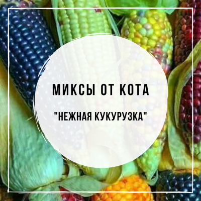 Миксы для кальяна - Нежная кукурузка (MustHave Melonade, MustHave Orange Team, Sebero Corn, Daily Hookah Сливочный Крем)