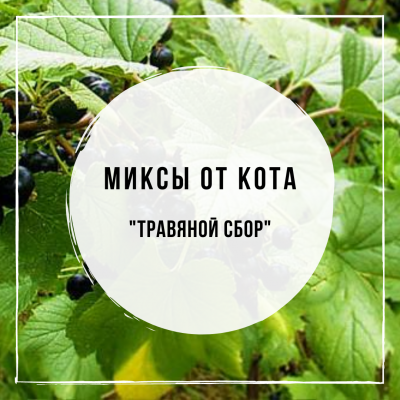 Миксы для кальяна - Травяной Сбор (Chabacco Lemongrass, Tangiers Brambleberry, Tangiers Cane Mint)