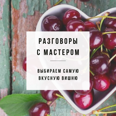 Разговоры с мастером - Выбираем лучшую вишенку