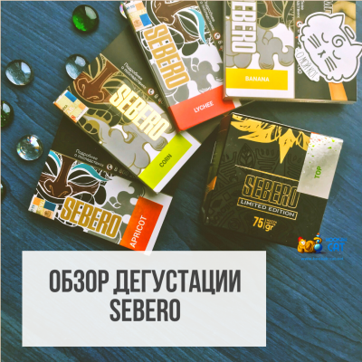 Обзор дегустации табака Sebero