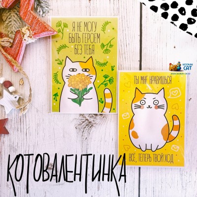 КОТКА или Котовалентинка!