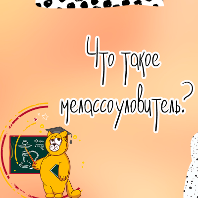 Что такое мелассоуловитель?