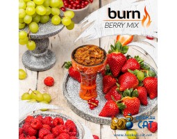 Табак Burn Berry Mix (Ягодный Микс) 100г Акцизный