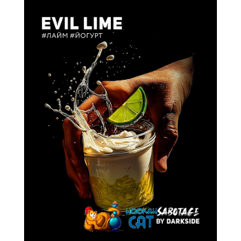 Табак для кальяна Dark Side Sabotage Evil Lime (Дарк Сайд Саботаж) 250г Акцизный