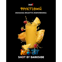 Табак Dark Side Shot Фруктовый 120г Акцизный