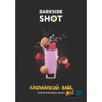 Табак для кальяна Dark Side Shot Каспийский Вайб (Дарк Сайд Шот) 120г Акцизный