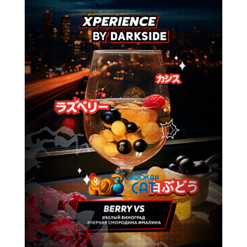 Табак для кальяна Dark Side Xperience Berry Vs (Дарк Сайд Экспириенс) 30г Акцизный