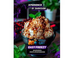 Табак Dark Side Xperience Easy Freezy 120г