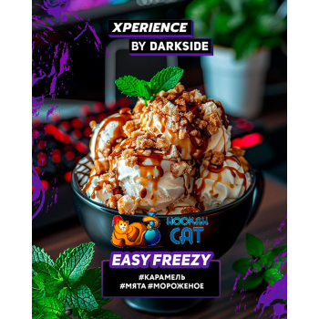 Табак для кальяна Dark Side Xperience Easy Freezy (Дарк Сайд Экспириенс) 120г Акцизный