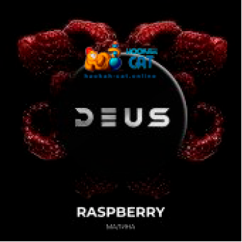 Табак для кальяна Deus Raspberry (Малина) 100г