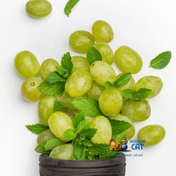 Табак для кальяна Jibiar Grape Mint (Джибиар Виноград Мята) Акцизный 50г