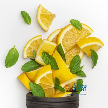 Табак для кальяна Jibiar Lemon Mint (Джибиар Лимон Мята) Акцизный 50г