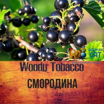 Табак для кальяна Woodu Currant (Вуду Смородина) 40г Акцизный