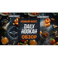 Новый вкус Daily Hookah - Танжериниус