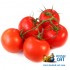 Табак для кальяна Sebero Tomato (Себеро Томат) 100г Акцизный